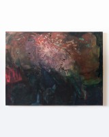 oil and distemper on canvas
75 x 100 cm